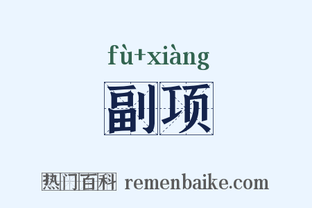 副项是什么意思的图片